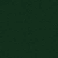 P2 EUROLINE 1132 (зеленый)